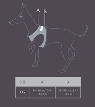 Load image into Gallery viewer, Lux & Bones Harness & Leash Set - Marble Pink