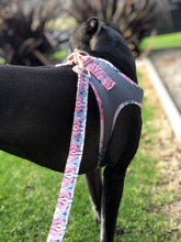 Load image into Gallery viewer, Lux & Bones Harness & Leash Set - Marble Pink