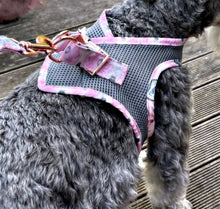 Load image into Gallery viewer, Lux & Bones Harness & Leash Set - Marble Pink