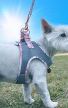 Load image into Gallery viewer, Lux & Bones Harness & Leash Set - Marble Pink