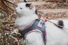 Load image into Gallery viewer, Lux & Bones Harness & Leash Set - Marble Pink