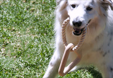 Load image into Gallery viewer, Lux & Bones Tug Toy