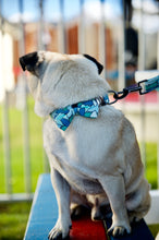 Load image into Gallery viewer, Lux & Bones Dog Collar With Bonus Removeable Bowtie - Teal Camo