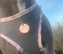 Load image into Gallery viewer, Lux & Bones Harness & Leash Set - Marble Pink