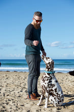 Load image into Gallery viewer, Lux & Bones Dog Collar With Bonus Removeable Bowtie - Teal Camo