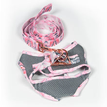 Load image into Gallery viewer, Lux & Bones Harness & Leash Set - Marble Pink