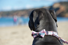 Load image into Gallery viewer, Lux & Bones Dog Collar With Bonus Removeable Bowtie - Marble Pink