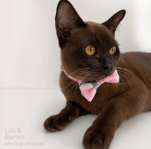 Load image into Gallery viewer, Lux & Bones Cat Safety Collar with Removable Bowtie