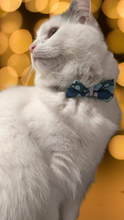 Load image into Gallery viewer, Lux & Bones Cat Safety Collar with Removable Bowtie