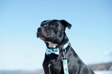 Load image into Gallery viewer, Lux & Bones Dog Collar With Bonus Removeable Bowtie - Teal Camo