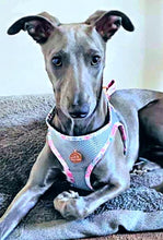 Load image into Gallery viewer, Lux & Bones Harness & Leash Set - Marble Pink