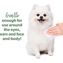 Load image into Gallery viewer, Pretty Wild Bamboo Pet Wipes 40 Pack
