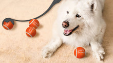 Load image into Gallery viewer, Lux &amp; Bones - Ball Flinger with 3 Tennis Balls
