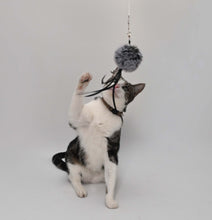 Load image into Gallery viewer, Lux &amp; Bones Multi Sensory Cat Teaser Toy
