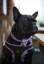 Load image into Gallery viewer, Lux &amp; Bones Dog Collar With Bonus Removeable Bowtie
