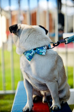 Load image into Gallery viewer, Lux &amp; Bones Dog Collar With Bonus Removeable Bowtie  - Teal Camo
