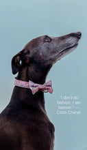 Load image into Gallery viewer, Lux &amp; Bones Dog Collar With Bonus Removeable Bowtie

