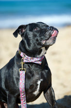 Load image into Gallery viewer, Lux &amp; Bones Dog Collar With Bonus Removeable Bowtie
