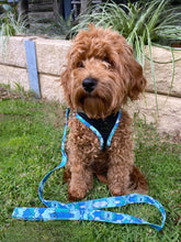 Load image into Gallery viewer, Lux &amp; Bones Harness &amp; Leash Set - Teal Camo
