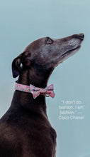Load image into Gallery viewer, Lux &amp; Bones Dog Collar With Bonus Removeable Bowtie  - Confetti
