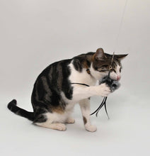 Load image into Gallery viewer, Lux &amp; Bones Multi Sensory Cat Teaser Toy
